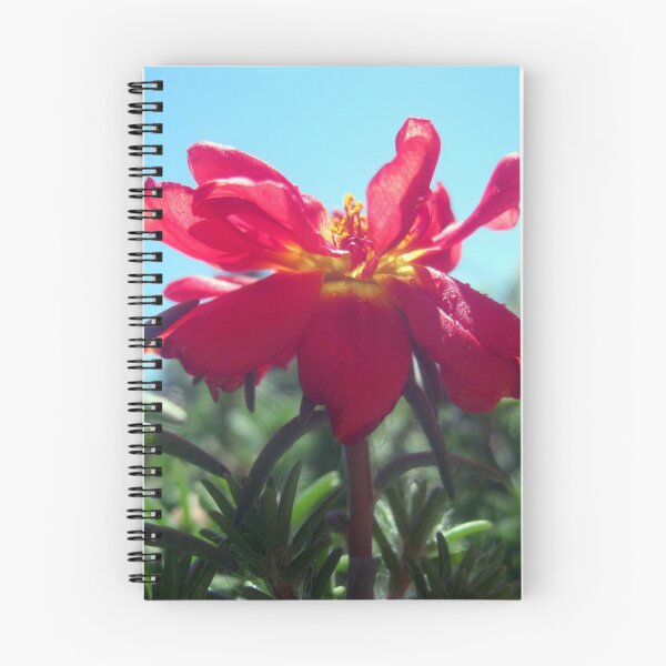 Item preview, Red Summer Flower 1 designed and sold by Jaeda DeWalt.
