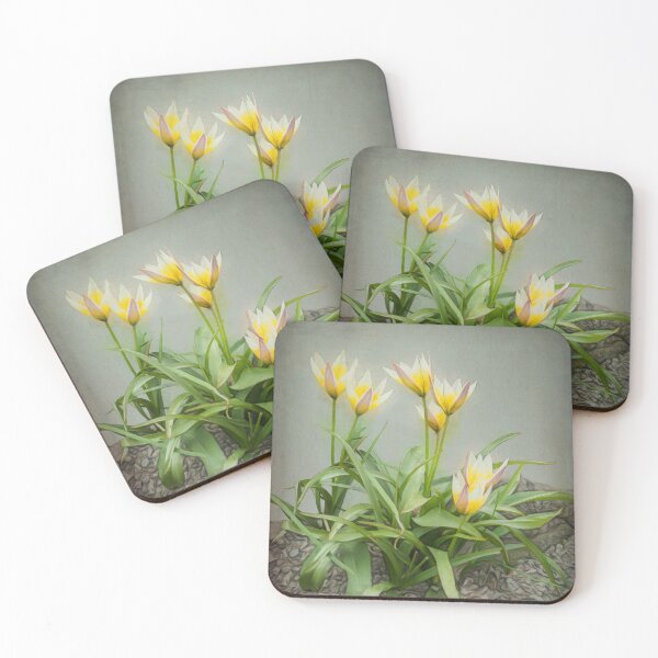 Item preview, Petite Tulipa Humilis designed and sold by Finding Fortuity.