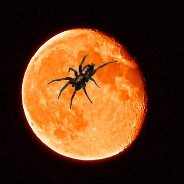 Artwork thumbnail, Spooky Spider On The Orange Moon by Patrick Beamish