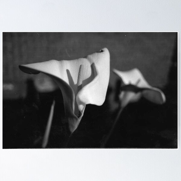 Item preview, My Flower Photo designed and sold by ein22.