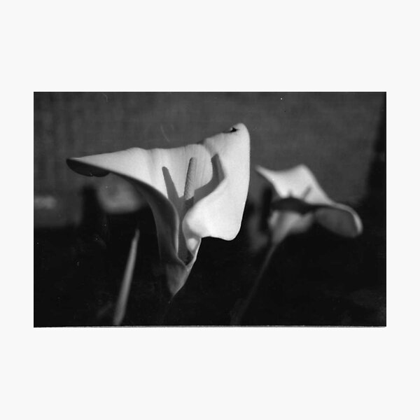 Item preview, My Flower Photo designed and sold by ein22.