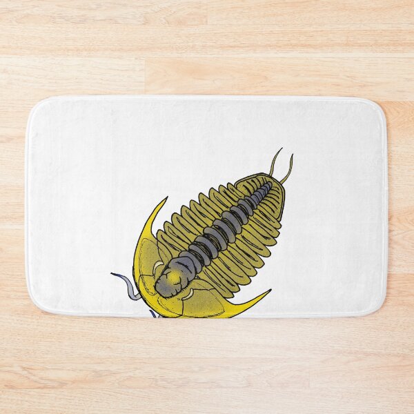 Item preview, Quitacetra designed and sold by Stanton.