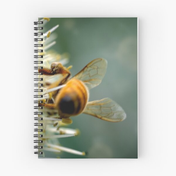 Item preview, bee bum designed and sold by Gift like the GOAT.