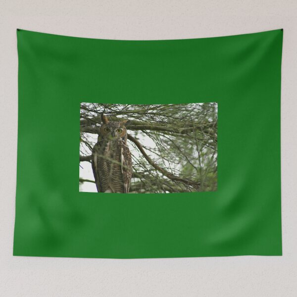 Item preview, The One Who Watches... designed and sold by RichImage.