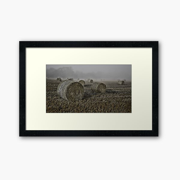 Misty Morning Framed Art Print