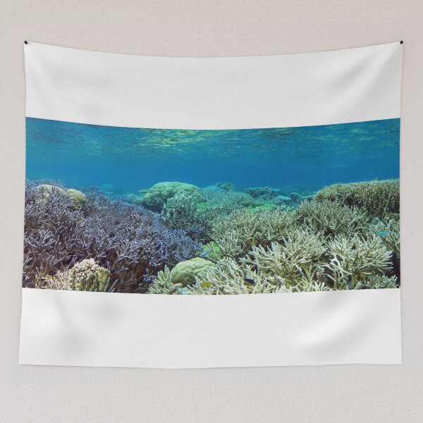Item preview, Heart of the Coral Triangle designed and sold by Coral Sea Foundation.