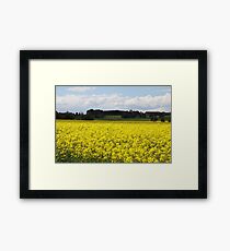 Canola Fields, Moriac, Victoria, Australia Framed Print