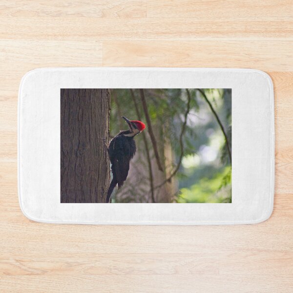 Item preview, Red Crest in the early morning light... designed and sold by RichImage.