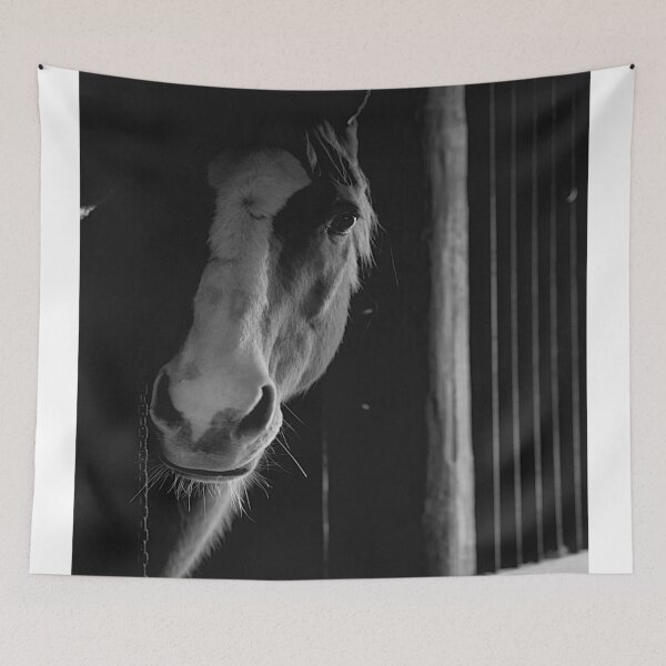 Item preview, Caballo negro y blanco designed and sold by seabiscuit28.