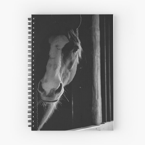 Item preview, Black & White Horse designed and sold by seabiscuit28.