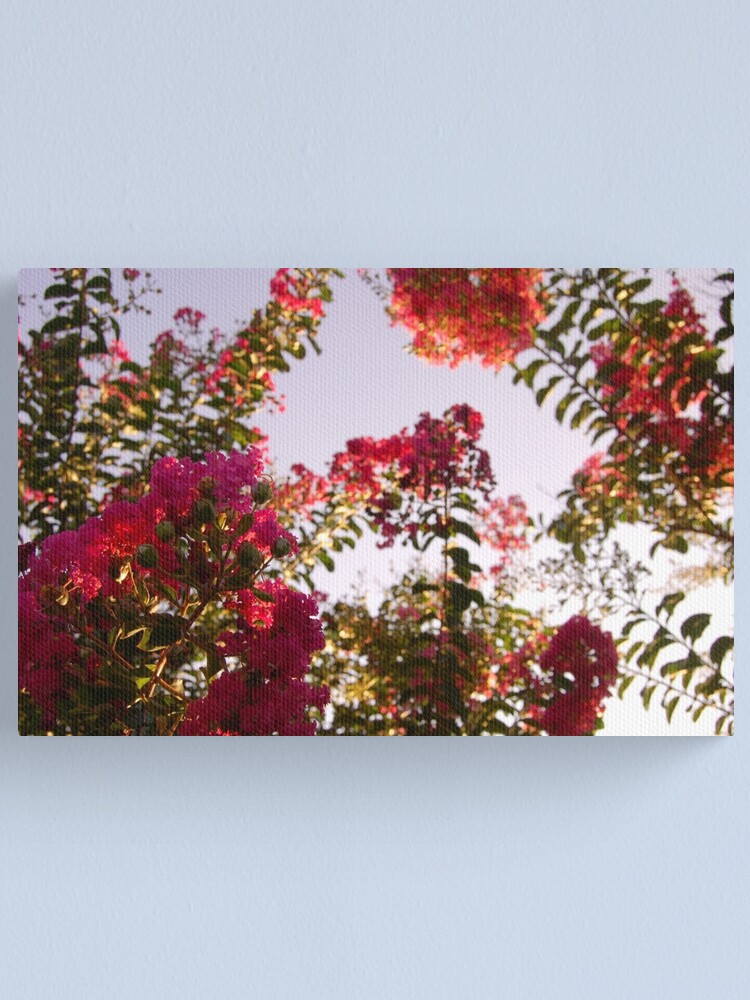 Discover Spring Floral Canvas Print