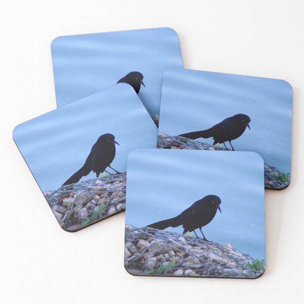 Item preview, Grackle designed and sold by Carla Jensen.