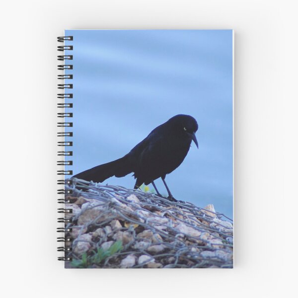Item preview, Grackle designed and sold by Carla Jensen.