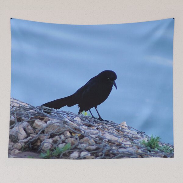 Item preview, Grackle designed and sold by Carla Jensen.