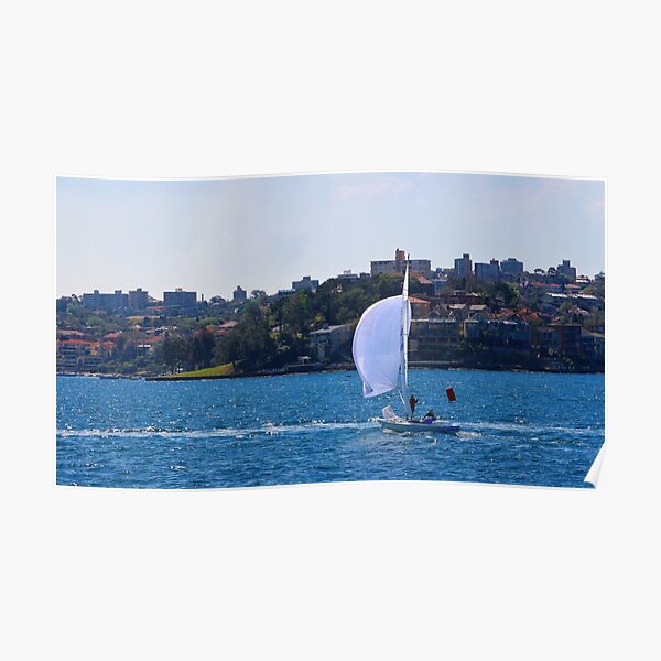 Sailing across Sydney Habour Poster