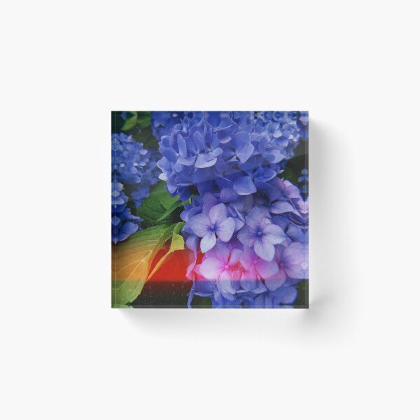 Item preview, Blue / Purple Hydrangea designed and sold by edengrae.