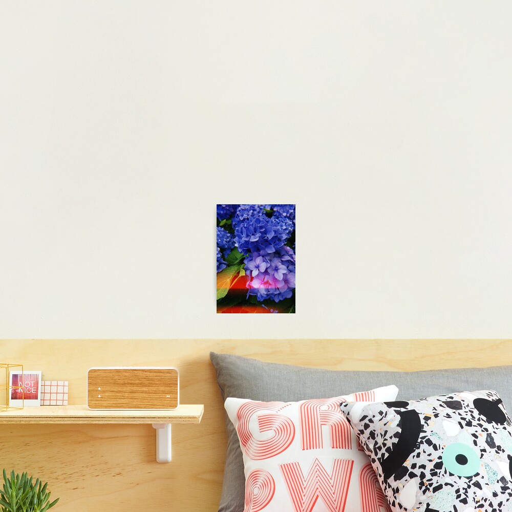 Item preview, Photographic Print designed and sold by edengrae.