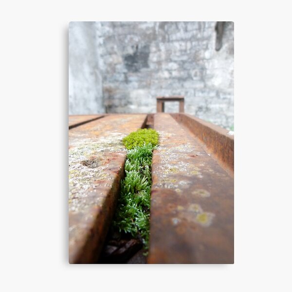 remains Metal Print