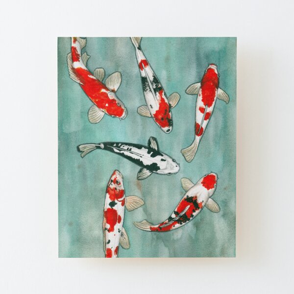 Le ballet des carpes koi Lámina montada de madera