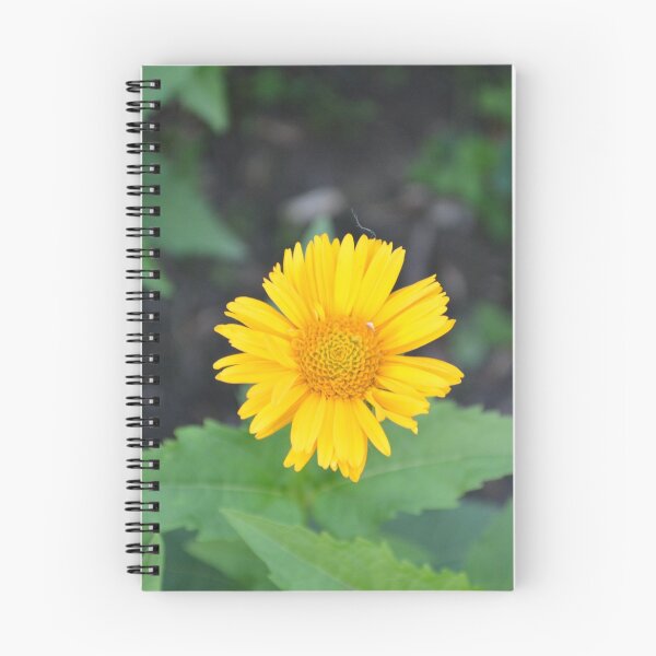 Item preview, Flower Power designed and sold by laurenmoe.