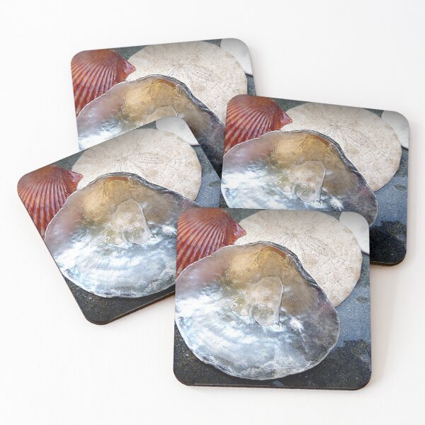 Item preview, SEA SHELLS COLLECTION designed and sold by Elaine Bawden.