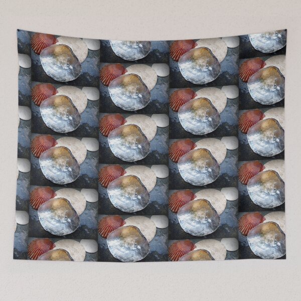 Item preview, SEA SHELLS COLLECTION designed and sold by Elaine Bawden.