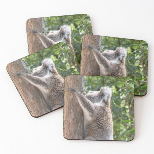 Item preview, 'I'LL PRETEND I'M NOT HERE!  Koala, Botanic Gardens, Stirling. Adelaide Hills.  designed and sold by RitaBlom.