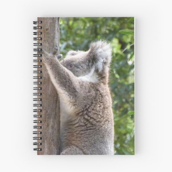 Item preview, 'I'LL PRETEND I'M NOT HERE!  Koala, Botanic Gardens, Stirling. Adelaide Hills.  designed and sold by RitaBlom.