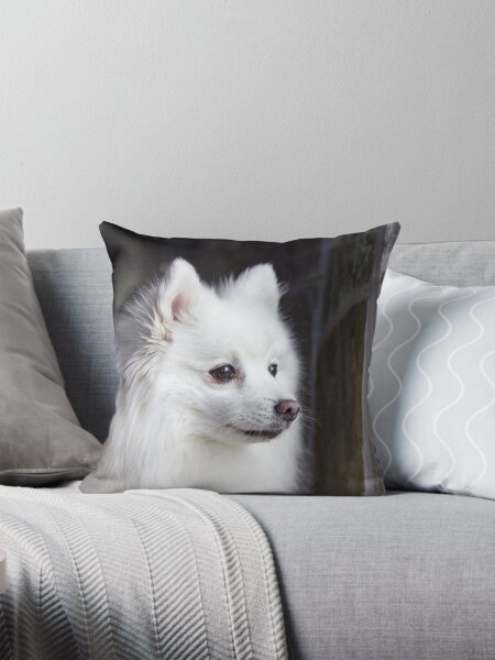 Item preview, Japanese Spitz Dog designed and sold by KarenWoodArt.