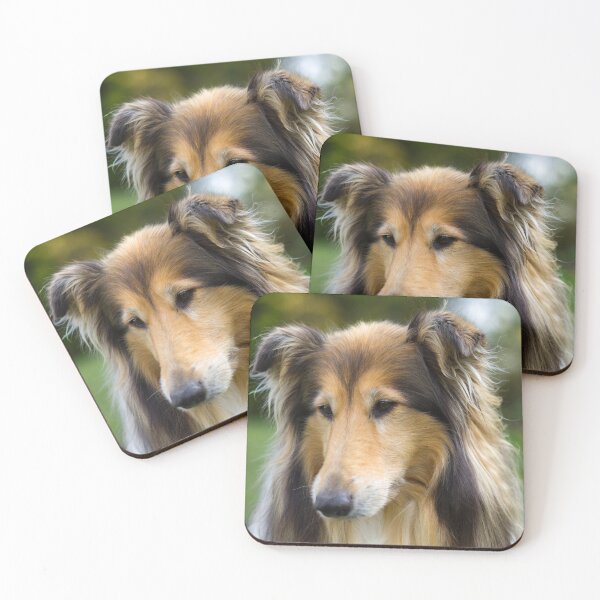 Item preview, Collie Focus designed and sold by KarenWoodArt.