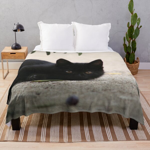 Item preview, Black Kitten Playing with Black Olives designed and sold by Anna Lemos.
