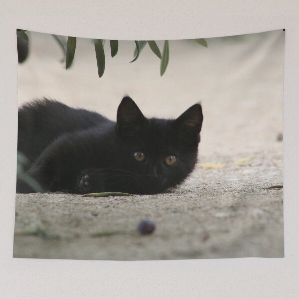 Item preview, Black Kitten Playing with Black Olives designed and sold by Anna Lemos.