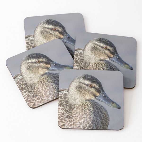 Item preview, Female Mallard Duck designed and sold by KarenWoodArt.