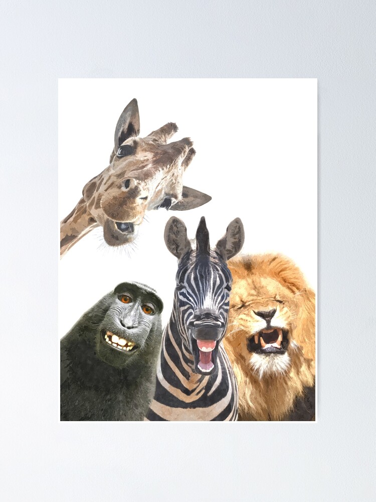 Alternate view of Jungle Animal Friends Poster