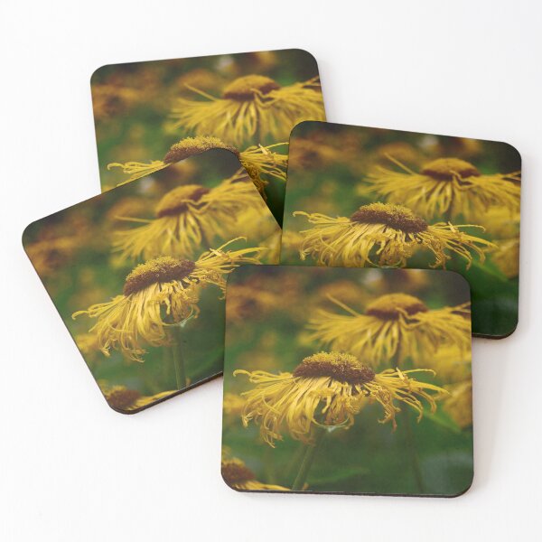 Item preview, Black Eyed Susan designed and sold by rosedew.