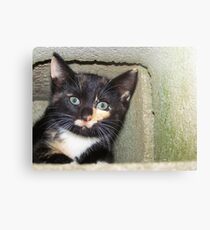 Hide n Seek Canvas Print