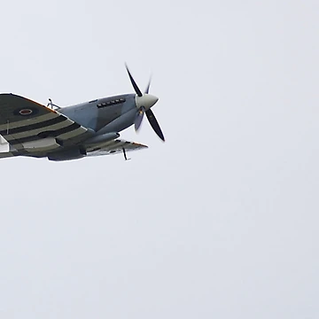 Artwork thumbnail, Spitfire by Rees Adams