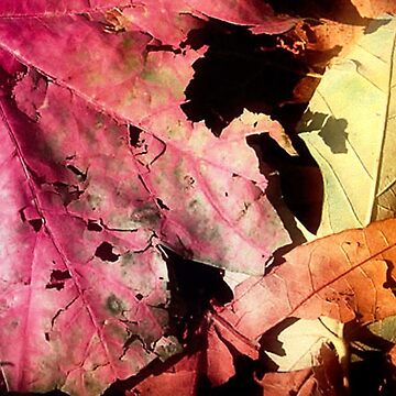 Artwork thumbnail, Tattered by Claude Johnson