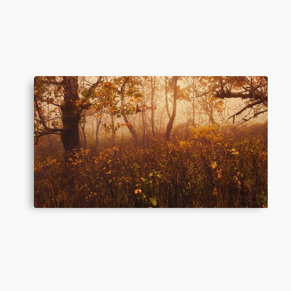 Fairyland Canvas Print