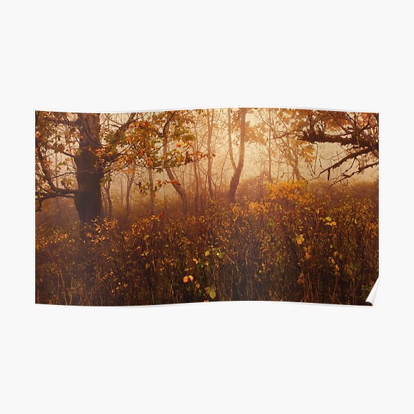 Fairyland Poster