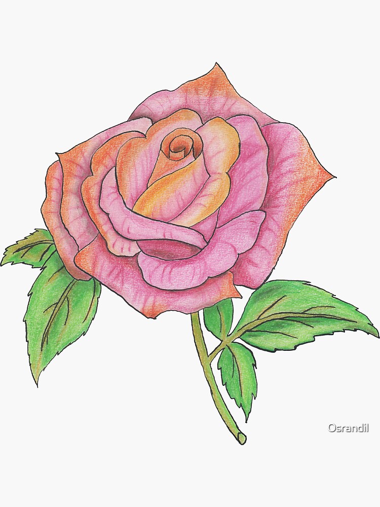 Colorful Rose by Osrandil