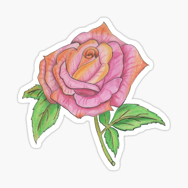 Colorful Rose Sticker