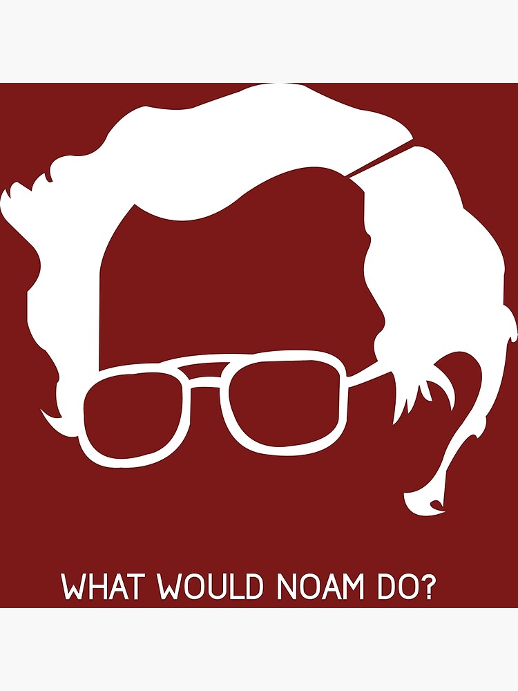 &ldquo;Noam Chomsky&rdquo; Poster for Sale by Ginger Alen | Redbubble