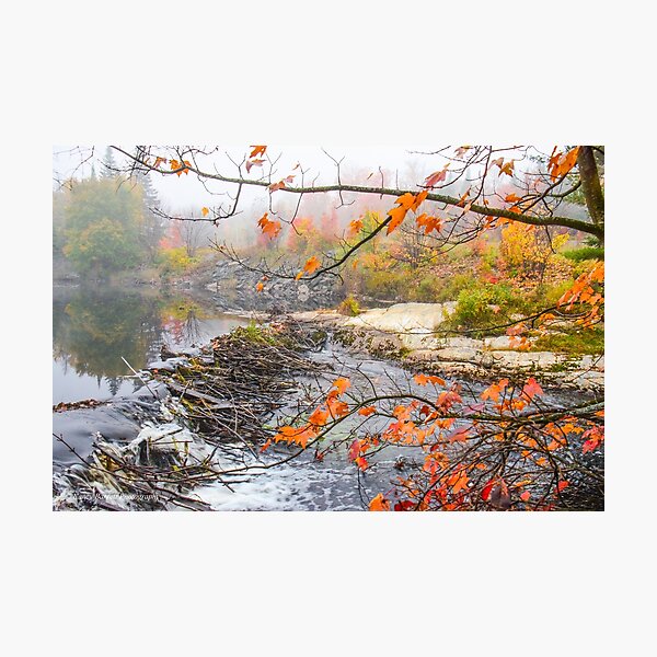 Misty Morning, Algonquin Park Photographic Print