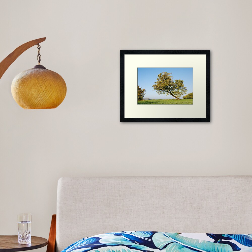 Item preview, Framed Art Print designed and sold by patmo.