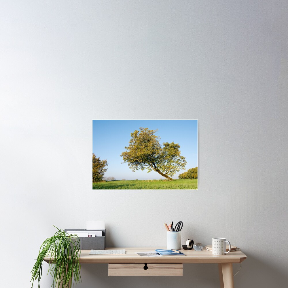 Item preview, Poster designed and sold by patmo.
