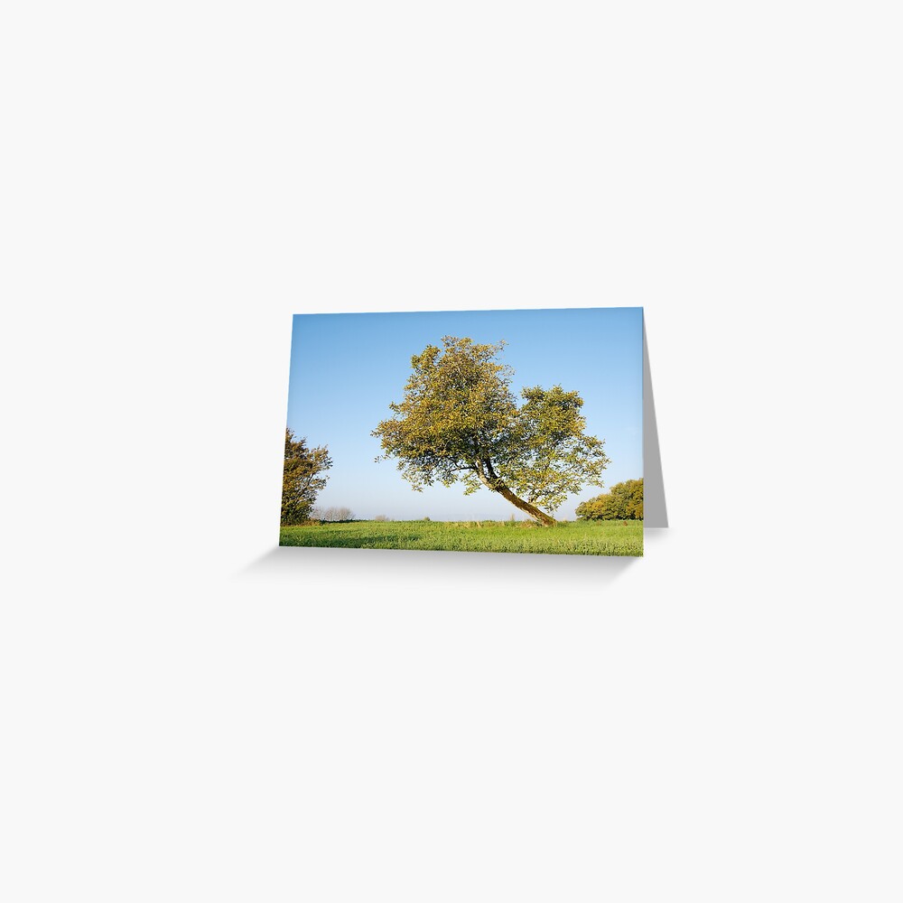 Item preview, Greeting Card designed and sold by patmo.
