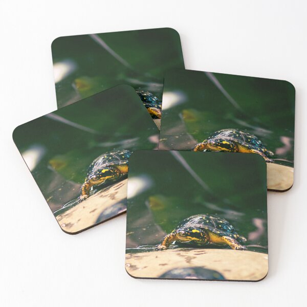 Item preview, baby turtle designed and sold by asmphotography.