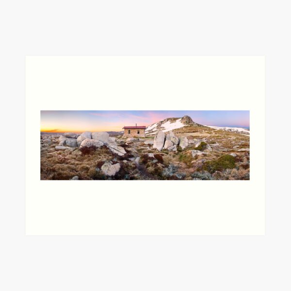 Art Print