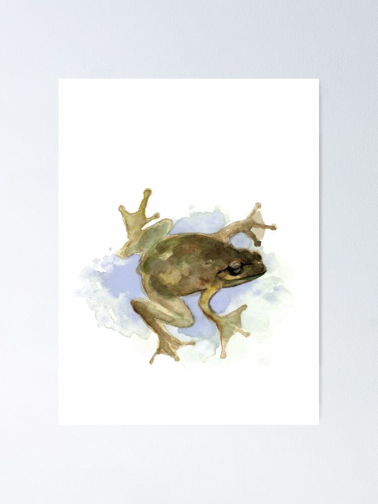 Frog abstract water colour animal wall art prints